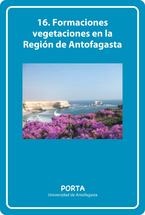 Portada Frontal